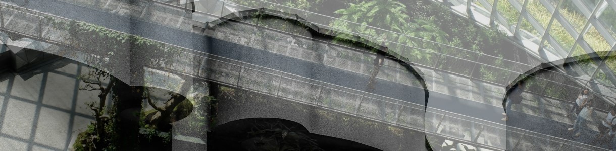 Climate-change risk framework: introducing issuer-specific Key Climate Risk Indicators